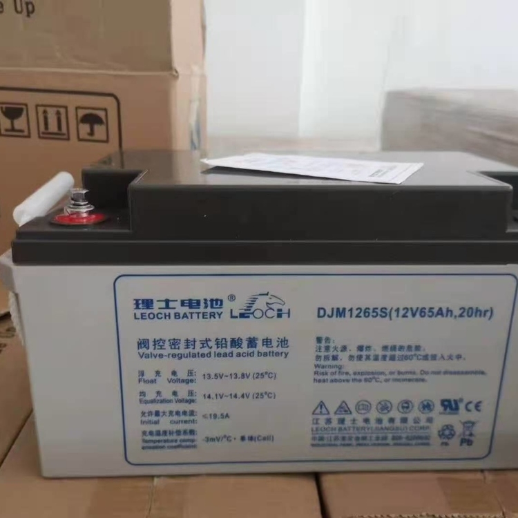 LEOCH理士直流屏UPS电源蓄电池组12V9OPzV180原装新品