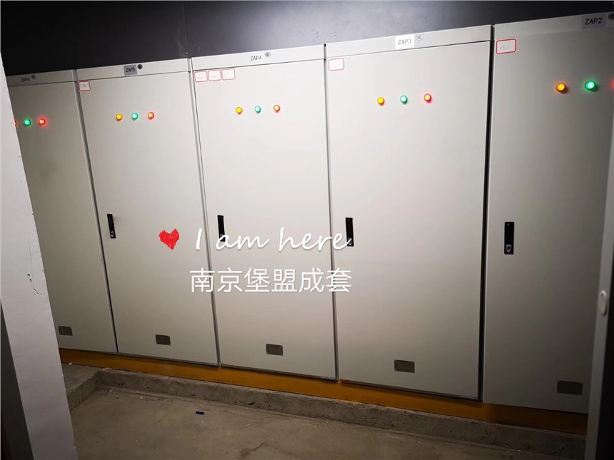 南京厂家供应电动机马保柜 电机马达保护器柜 MCC柜 变频控制柜