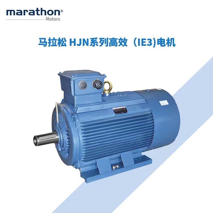 进口美国MARATHON交流电机驱动器气动隔膜泵矿用三相异步电机